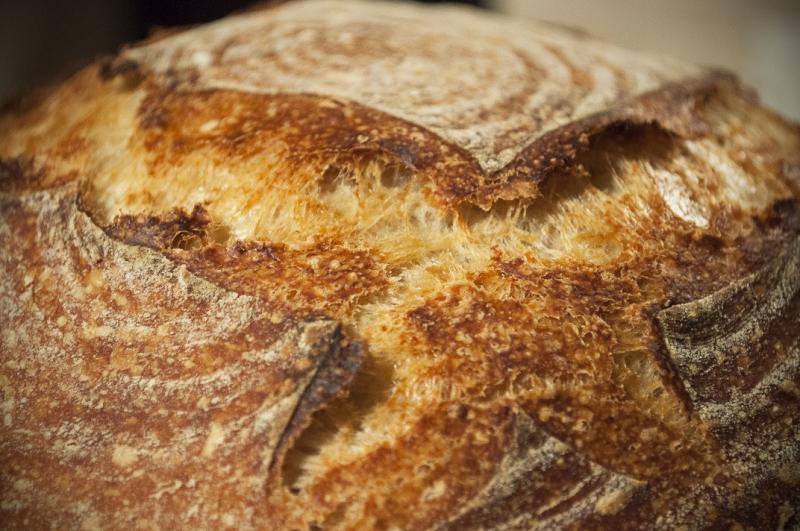 Tartine Olive & Herb Loaf + Boule & Batard Levain The Fresh Loaf
